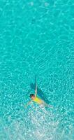 Aerial view of a woman in yellow swimsuit swimming in the pool. Summer lifestyle video