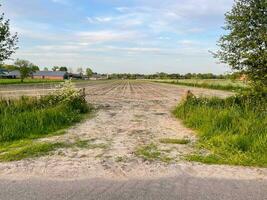 Experience the rustic charm of a plowed field merging with sandy textures, revealing a captivating landscape where nature's raw beauty unfolds photo