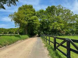 embarcar en un cautivador aventuras a lo largo el arenoso la carretera camino, dónde cada paso desvela un sereno y inmersivo experiencia en de la naturaleza intacto belleza foto