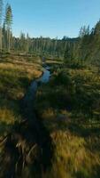 Fast flight over an autumn mountain landscape, stream, trees at sunrise video