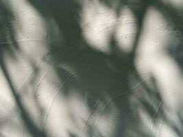 Leaves shadow background on concrete wall texture, leaves tree branches shade with sunlight photo