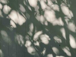 Leaves shadow background on concrete wall texture, leaves tree branches photo