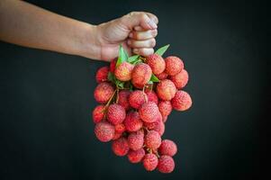 lychees on hand and black background, fresh ripe lychee fruit tropical fruit lychees in Thailand photo