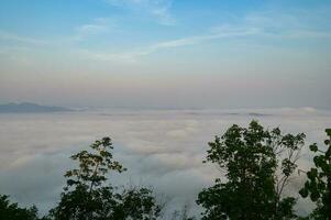 paisaje bosque en el Mañana hermosa amanecer niebla cubrir montaña antecedentes invierno brumoso ver a hermosa brumoso primavera montaña Valle y montañas en niebla en antecedentes foto