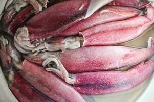 Raw squid on plate background, fresh squids octopus or cuttlefish for cooked food at restaurant or seafood market photo