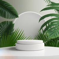 white product podium with green tropical palm leaves photo