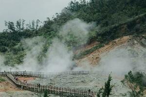 bosque en sidkidang dieng cráter foto