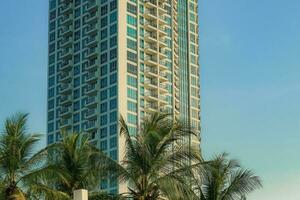 image of palm trees and modern style buildings seen from Beach Ancol photo