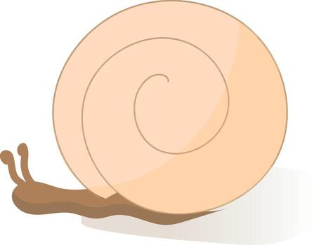 Flat Style Snail Element In Brown Color. vector