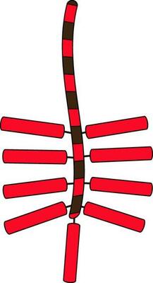 Red with stroke mat icon for firework concept in isolated.