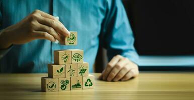 Businesses should cope with CO2 gas to create a sustainable and environmentally friendly organization. Planting trees to reduce CO2, footprint, Effects on the greenhouse effect and climate change photo