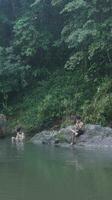 Gorontalo-Indonesia, May 2023 - Young man enjoying the morning atmosphere by the riverside photo