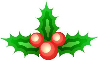 Vector illustration of holly berries.