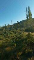 veloce volo al di sopra di un autunno montagna paesaggio, flusso, alberi a Alba video