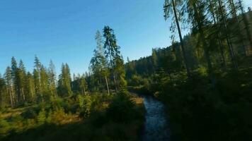 Fast flight over an autumn mountain landscape, stream, trees at sunrise video