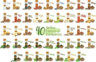 Set of 40 different culinary herbs, species and condiments in cartoon style. Spanish names. vector