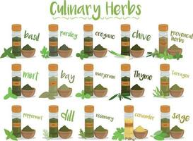 Set of 15 different culinary herbs in cartoon style. vector