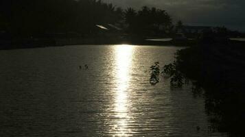 the reflection of the sun on the river photo