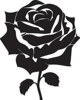 Rose Vector Design Silhouette illustration black color
