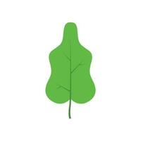 Green tree leaf vector illustration isolated on transparent background