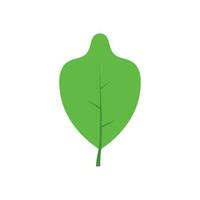 Green tree leaf vector illustration isolated on transparent background