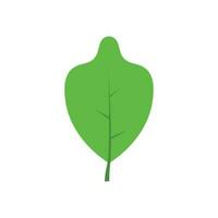 Green tree leaf vector illustration isolated on transparent background