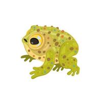 Frog. Vector cute isolated illustration of reptile.