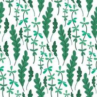 A pattern of green algae of different varieties hand-drawn on an underwater background, great for textiles, banners, wallpaper, packaging vector design on a white. Greenery growing underwater