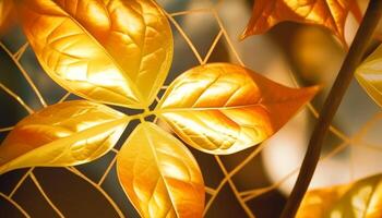 Vibrant autumn maple leaf, close up, backlit, shiny, yellow and orange generated by AI photo