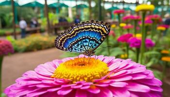 Vibrant animal markings on butterfly wing pollinating purple daisy blossom generated by AI photo