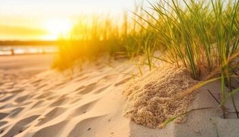 Dom besado arena dunas reunirse tranquilo aguas en tropical paraíso generado por ai foto