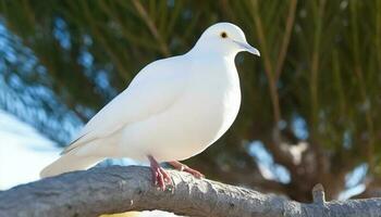 A tranquil scene of a seagull perching on a branch generated by AI photo