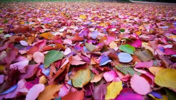 Vibrant autumn colors of falling leaves in nature beauty generated by AI photo