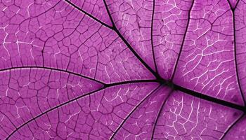 Vibrant leaf vein pattern showcases beauty in nature organic growth generated by AI photo