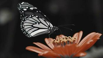 Swallowtail butterfly pollinates yellow daisy, showcasing natural elegance and beauty generated by AI photo