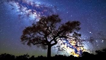 Milky Way illuminates starry winter forest, creating vibrant backdrop generated by AI photo