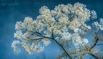 Cherry blossom branch, fresh petals, bright pink against clear sky generated by AI photo