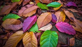 vibrante otoño bosque con multi de colores hojas que cae en suelo generado por ai foto