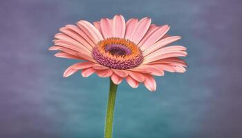 Vibrant wildflowers in meadow, showcasing beauty in nature patterns generated by AI photo