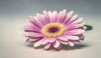 Vibrant gerbera daisy blossom, a gift of nature beauty generated by AI photo
