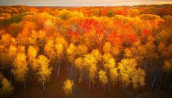 Vibrant autumn landscape multi colored trees, yellow leaves, tranquil meadow generated by AI photo