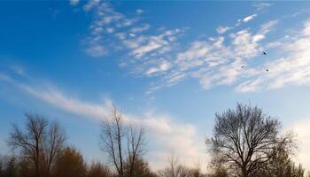 Flying airplane in clear sky over winter forest landscape scenery generated by AI photo