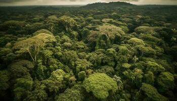 Aerial view of a tropical rainforest, a beauty in nature generated by AI photo