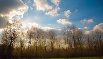 Tranquil meadow silhouettes against multi colored sky, nature beauty revealed generated by AI photo