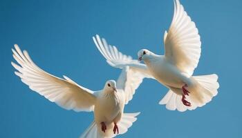 Graceful seagull spreads wings in mid air, symbol of freedom generated by AI photo