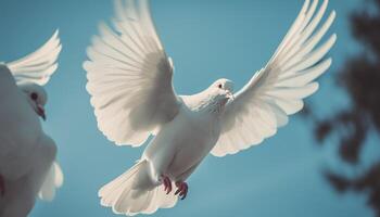 The seagull spread wings symbolize freedom and spirituality in nature generated by AI photo