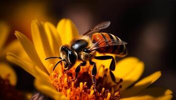 ocupado miel abeja poliniza vibrante flor en verano prado generado por ai foto