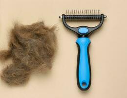 Animal trimmer and a tuft of seryo wool on a blue background, top view. Item for grooming photo