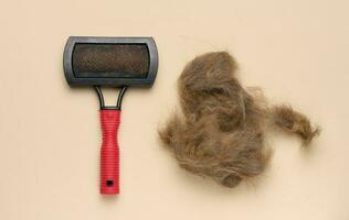 Animal trimmer and a tuft of gray wool on a blue background, top view. Item for grooming photo