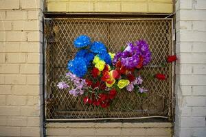 Colorful Flowers on Boarded up Window photo
